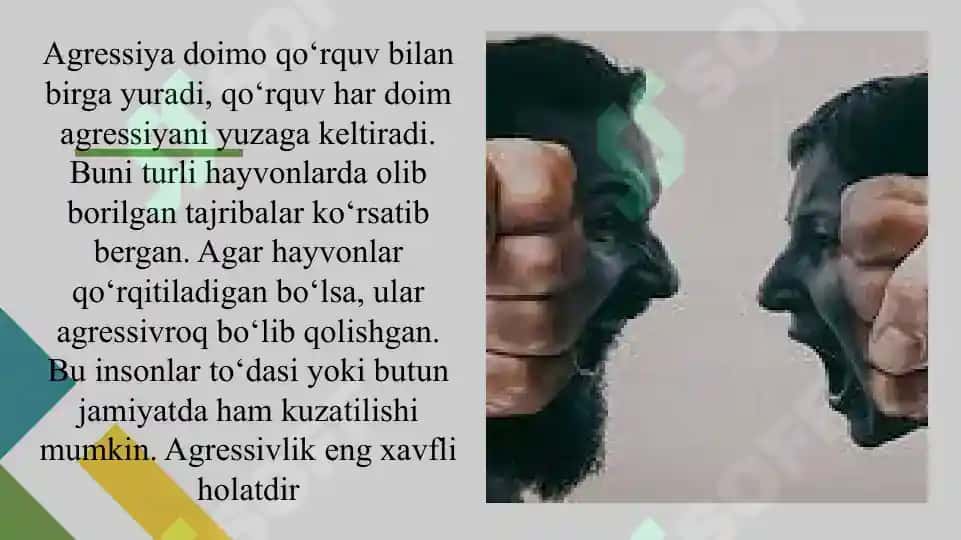 Aggressiya va Xulq 8