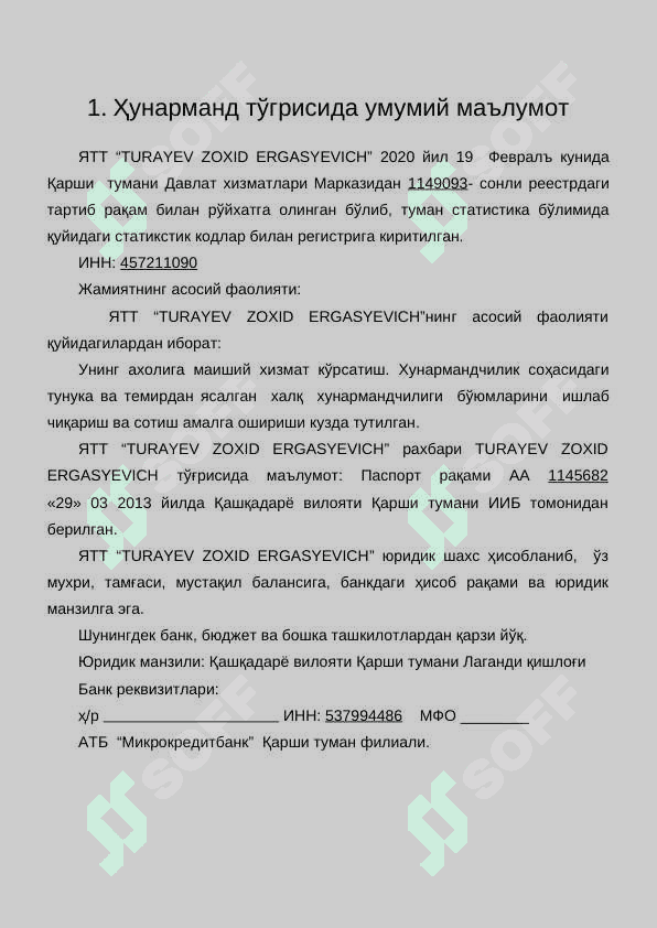biznes reja: darvoza biznesi (namuna) 3