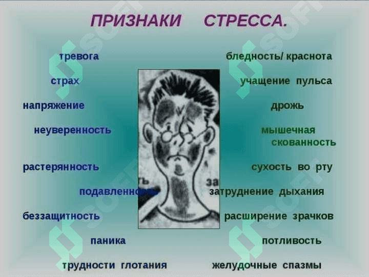 TIBBIYOT HODIMLARIDA EMOTSIONAL HOLATLARNING O’ZIGA HOSLIGI: STRESS VA UNING BOSQICHLARI, BARTARAF ETISH YO’LARI 5