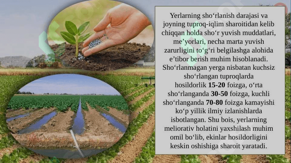 Respublikamizda sho'rlangan yerlar maydoni va tuzlarning tarkibi 2