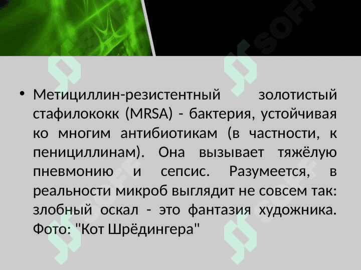 бактерии их страха 2