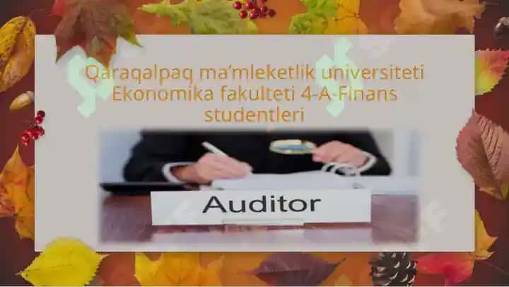 Auditorliq iskerligi tuwrisindag’i NIZAM 2