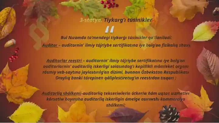 Auditorliq iskerligi tuwrisindag’i NIZAM 3