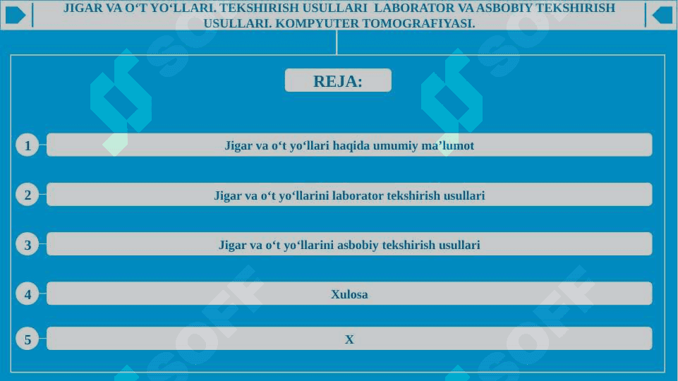 Jigar va o‘t yo‘llari. Tekshirish usullari  laborator va asbobiy tekshirish usullari. Kompyuter tomografiyasi. 2