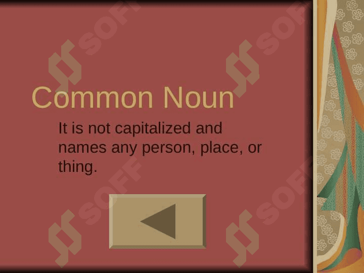 Types of Nouns:Common & Proper Nouns 8
