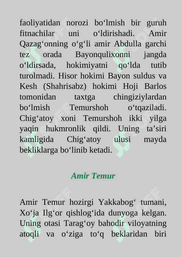 Amir Temur 4