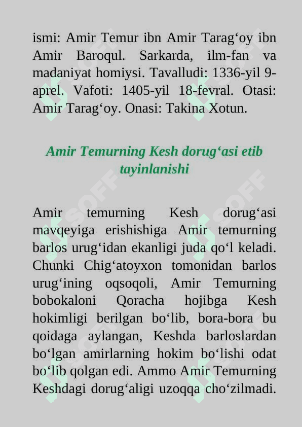 Amir Temur 6