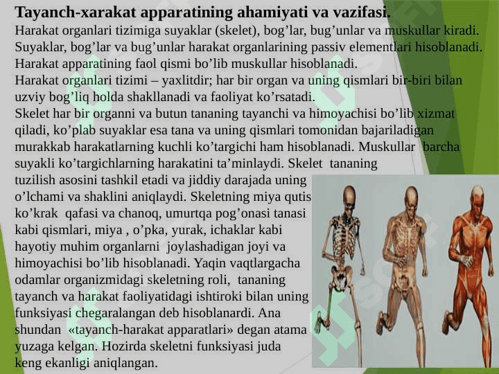 Tayanch-xarakat apparatining yosh xususiyatlari va gigienasi. 2