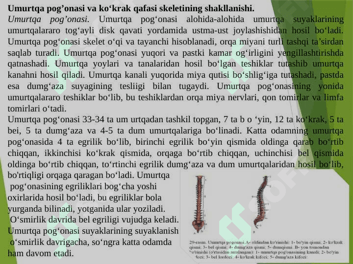 Tayanch-xarakat apparatining yosh xususiyatlari va gigienasi. 8