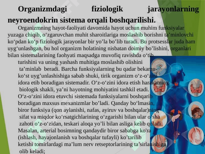 Ichki  sekretsiya bezlarining  yosh xususiyatlari. 2