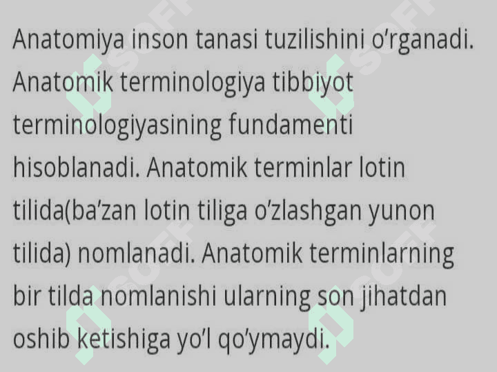 ANATOMIK  IBORALARNING TARJIMASI 2