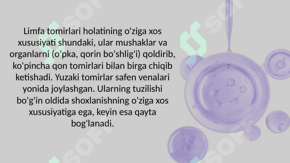 Limfa tomirlarining rivojlanishi va tuzulishining ijtimoiy va biologik muhitning ta'siri. 3
