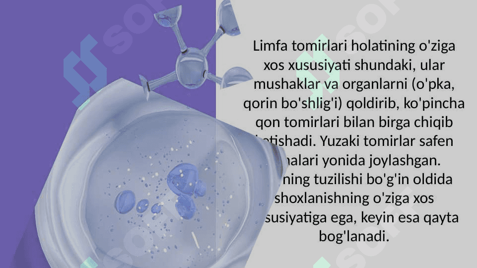 Limfa tomirlarining rivojlanishi va tuzulishining ijtimoiy va biologik muhitning ta'siri. 4