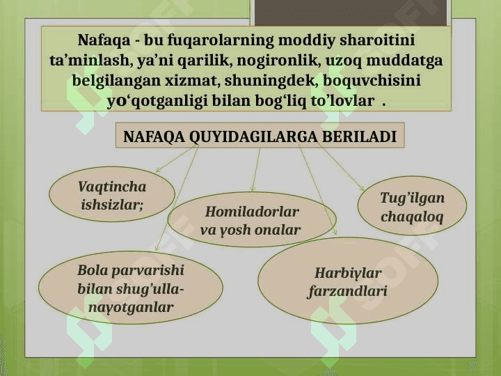 Nafaqa 7