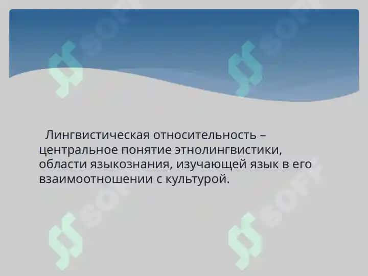 Лингвистический релятивизм 2