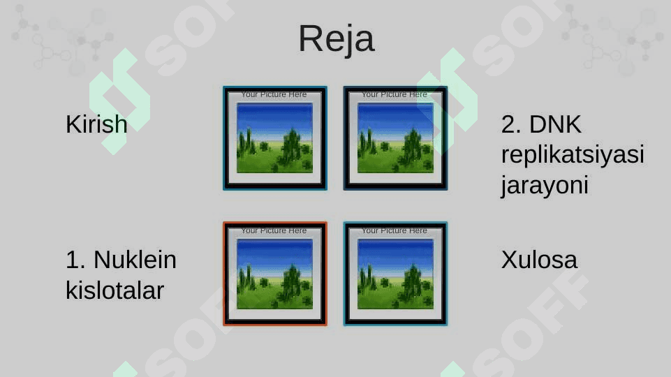 DNK replikatsiyasi va nuklein kislotalar 2