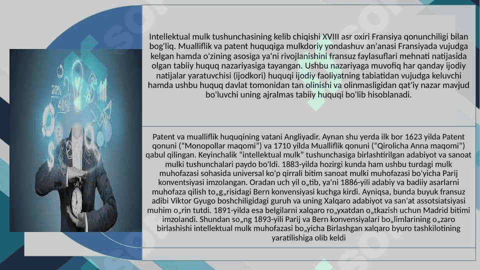 Intellektual mulk 3