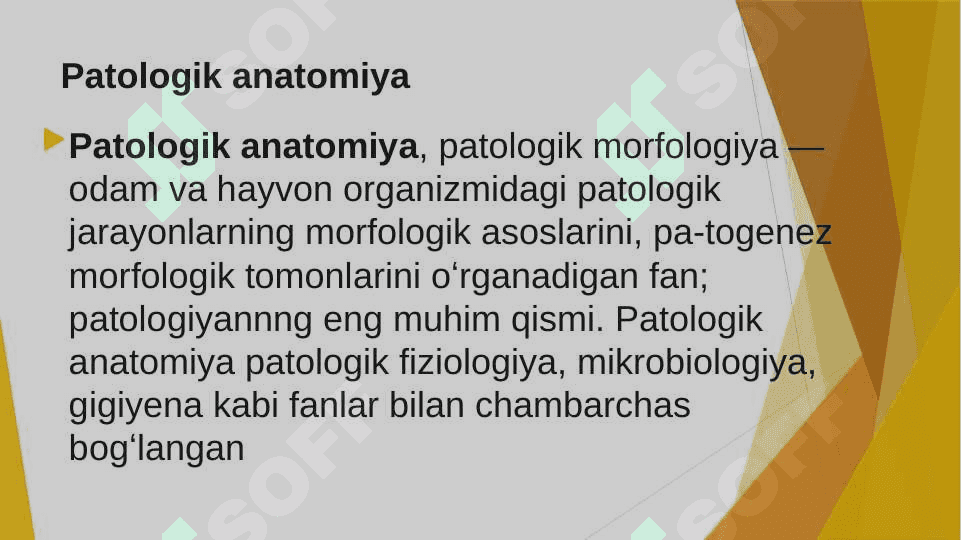 Patalogik anatomiya 3