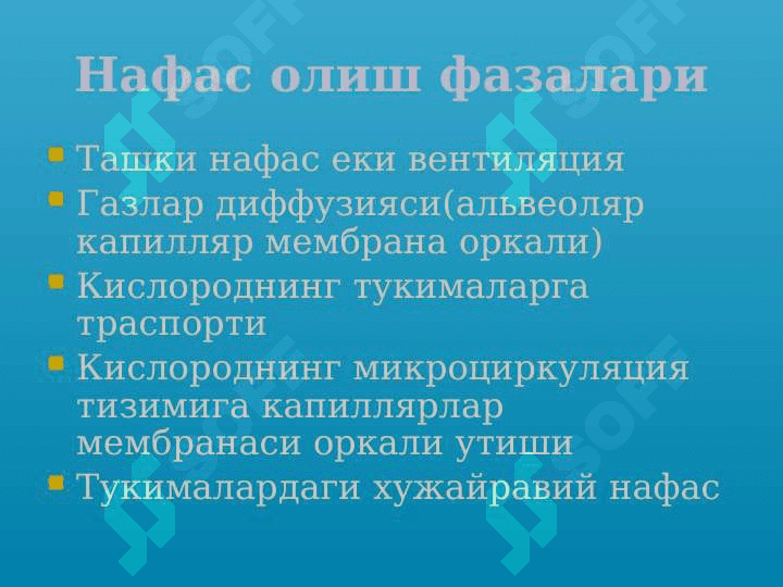 Ўткир зотилжам 8