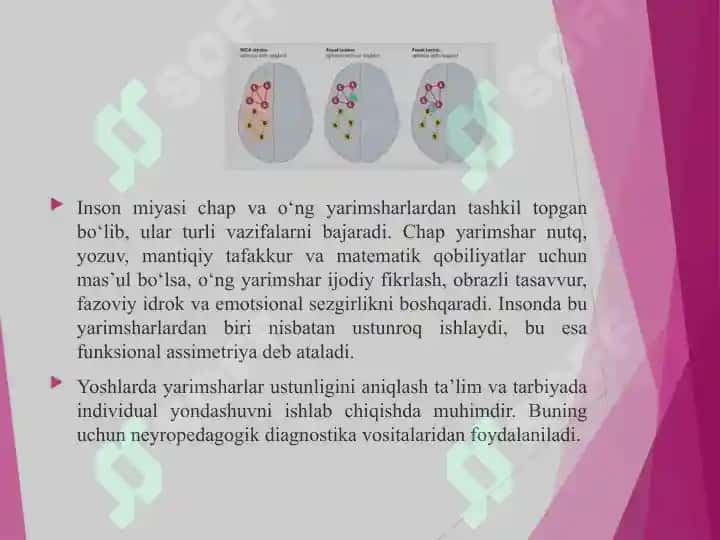 Neyropedogogik diagnostika vositasida yoshlarda yarimsharlar funksional assimetriyasi tiplarini aniqlash 3