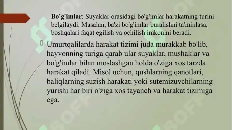 Umurtqalilarning tayanch-harakatorganlari 4
