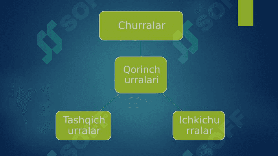 Qorin bo’shlig’i ichki churralari 5