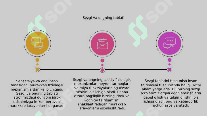 Sezgi, ong va uning fiziologik mexanizmlari 2