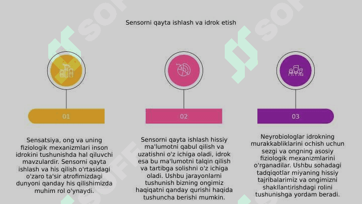 Sezgi, ong va uning fiziologik mexanizmlari 5