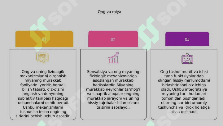 Sezgi, ong va uning fiziologik mexanizmlari 6