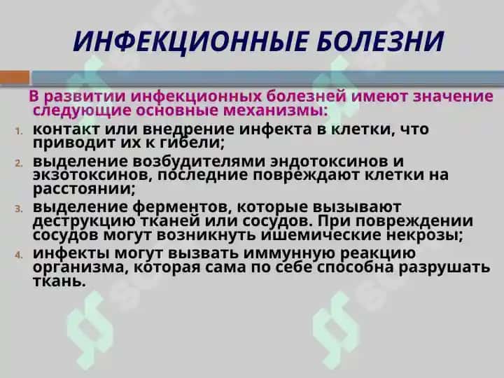 Инфекционные болезни. Вирусные и бактериальные инфекции 6
