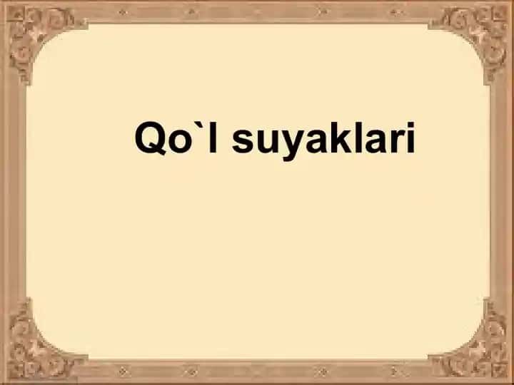 Qo`lsuyaklari