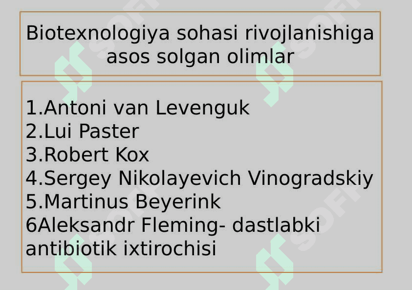 O`simlik va hayvonlar seleksiyasi 5