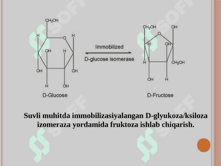 Fermentlardan turli sohalarda foydalanish 6