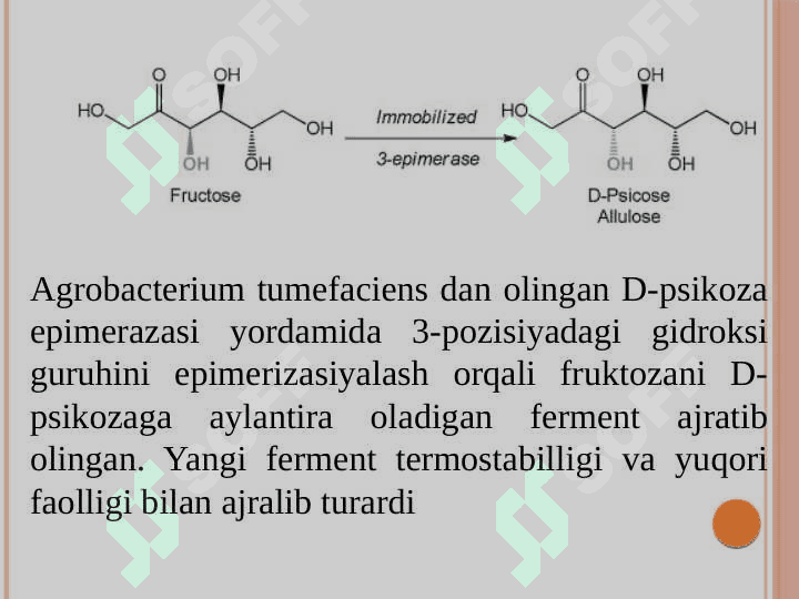 Fermentlardan turli sohalarda foydalanish 8