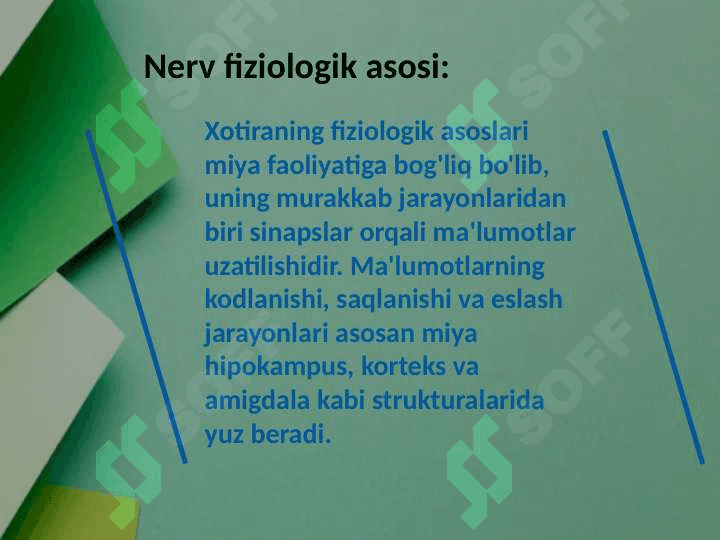 Xotira va uning nerv fiziologik asosi 4