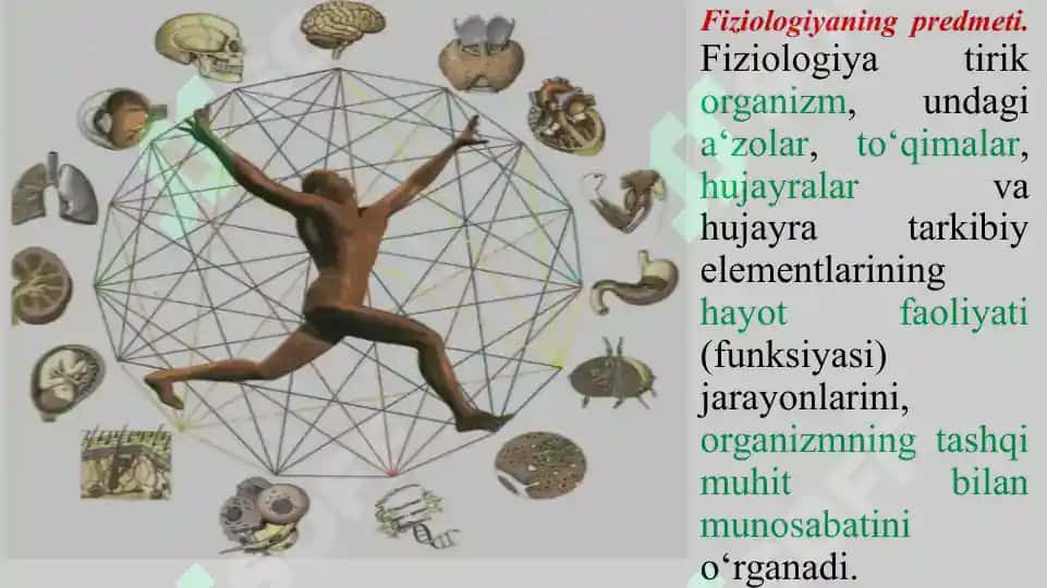Odam va Hayvonlar Fiziologiyasi 5
