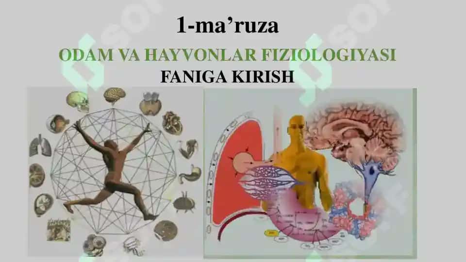 Odam va Hayvonlar Fiziologiyasi 2
