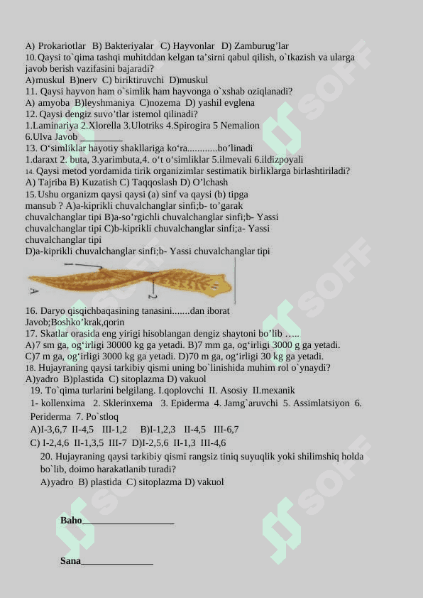 7-sinf nazorat ishi daftari 16 bet bo'ldi (2) 6