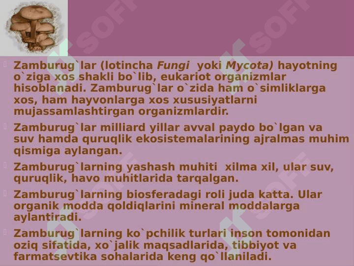 Zamburug'lar 2