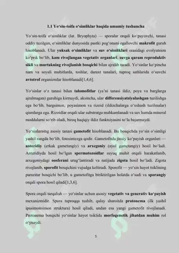 Yo'sin-toifa o'simliklar Kurs Ishi 5