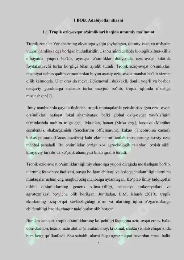 Tropikada tarqalgan oziq ovqat o'simliklari 5