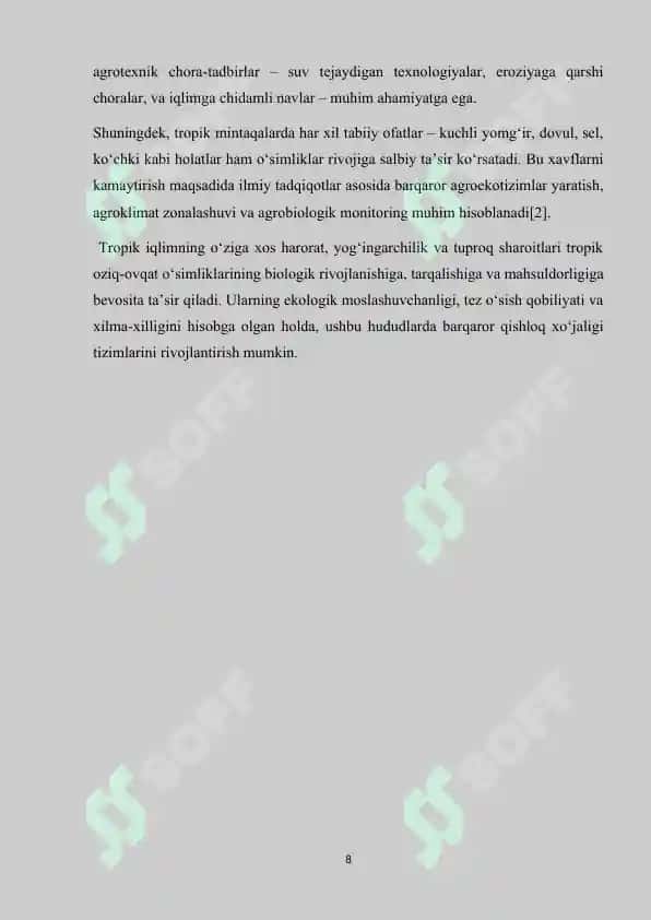 Tropikada tarqalgan oziq ovqat o'simliklari 8