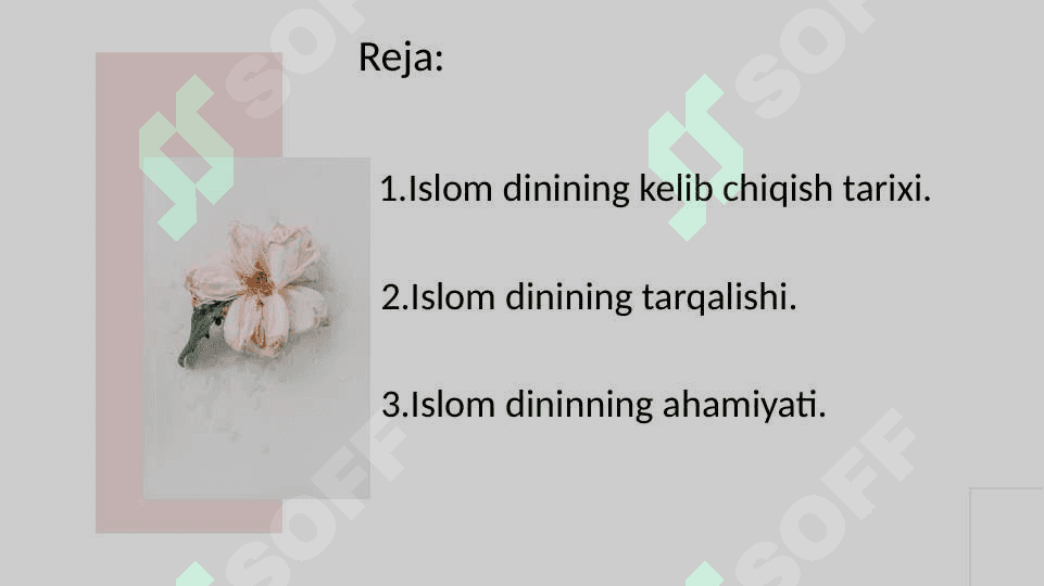 Islom huquqi va manbalari 2