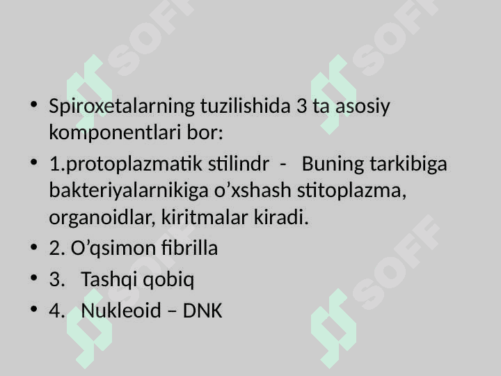 BAKTERIYALARNI STRUKTURASI VA MORFOLOGIYASI 3