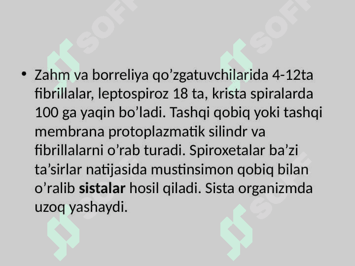 BAKTERIYALARNI STRUKTURASI VA MORFOLOGIYASI 4