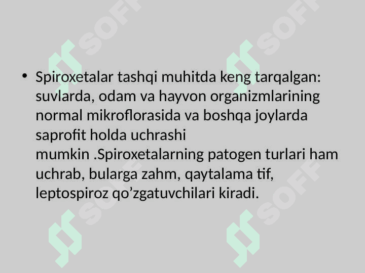 BAKTERIYALARNI STRUKTURASI VA MORFOLOGIYASI 5