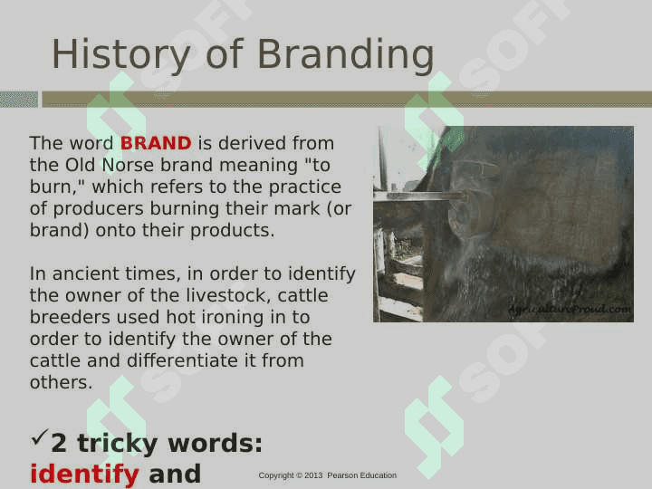 brands and branding 3