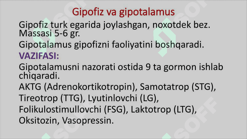 Ichki sekretsiya bezlari 7