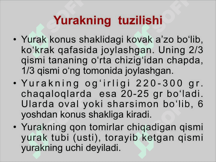 YURAK QON-TOMIR TIZIMI 4