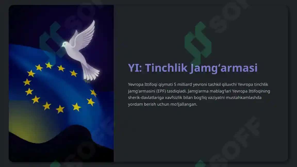 Yevropa Ittifoqi 8